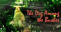 The Dog Among the Bushes